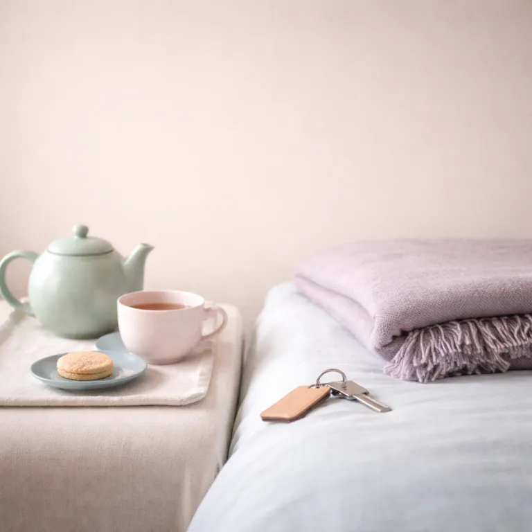 The Irish Country House Hotel: A Reader's Guide to Doing It Properly